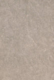 Chatoyant Mineral Wash Cropped Wide-Leg Pants Stone