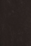 Chatoyant Mineral Wash Bootcut Crochet Lace Black