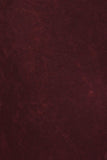 Chatoyant Mineral Wash French Terry Pants Burgundy