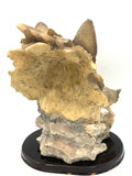 Vintage CK Collection Wolf Figurine with Wolf Head Backdrop