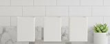 Trans Globe Lighting #22173  Bathroom Vanity Light Brushed Nickel Finish